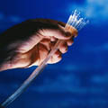glass fibres